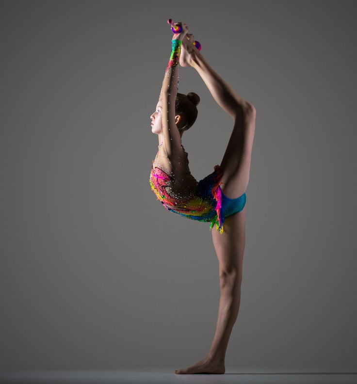 Elixir Muscle Gymnastics For Youth Athletes